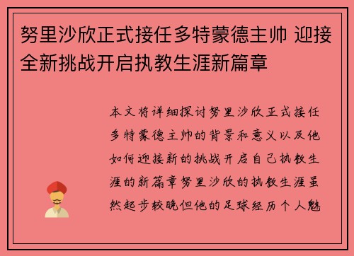 努里沙欣正式接任多特蒙德主帅 迎接全新挑战开启执教生涯新篇章